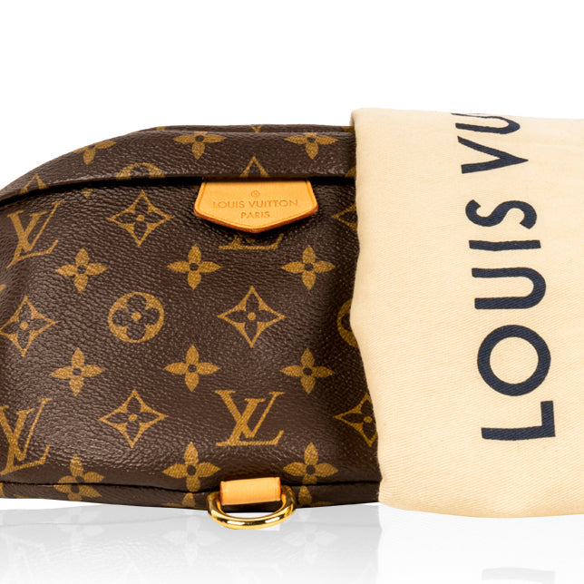 Louis Vuitton Bumbag - Monogram Canvas
