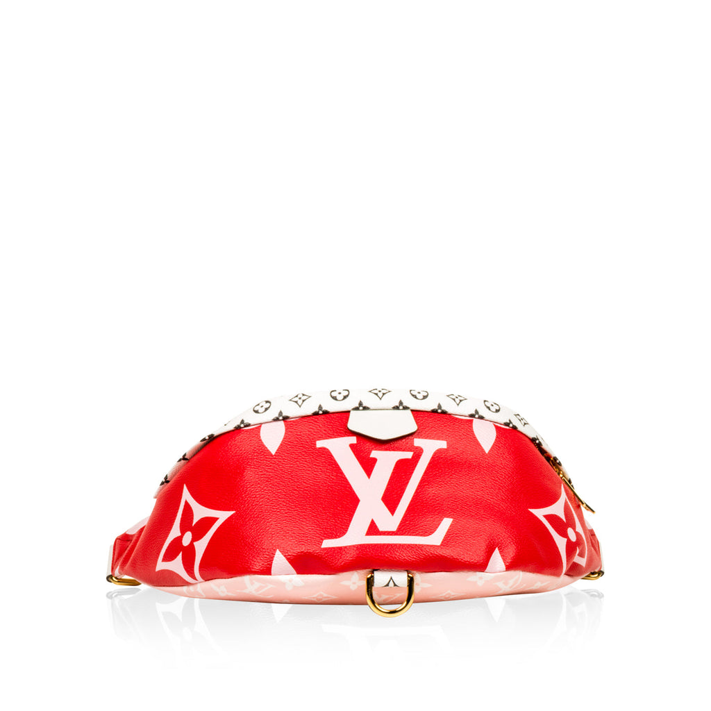 Louis Vuitton Bumbag Extra Large Monogram