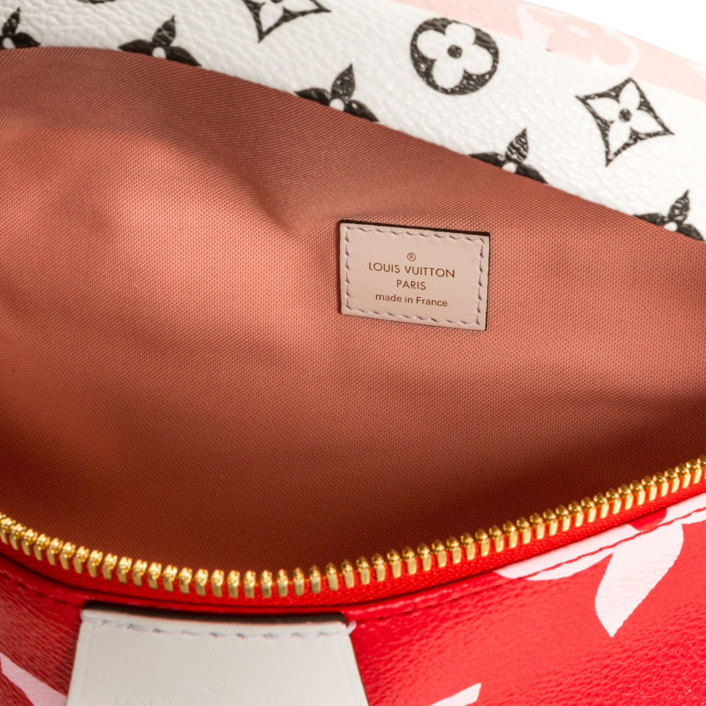 Louis Vuitton Bumbag Extra Large Monogram