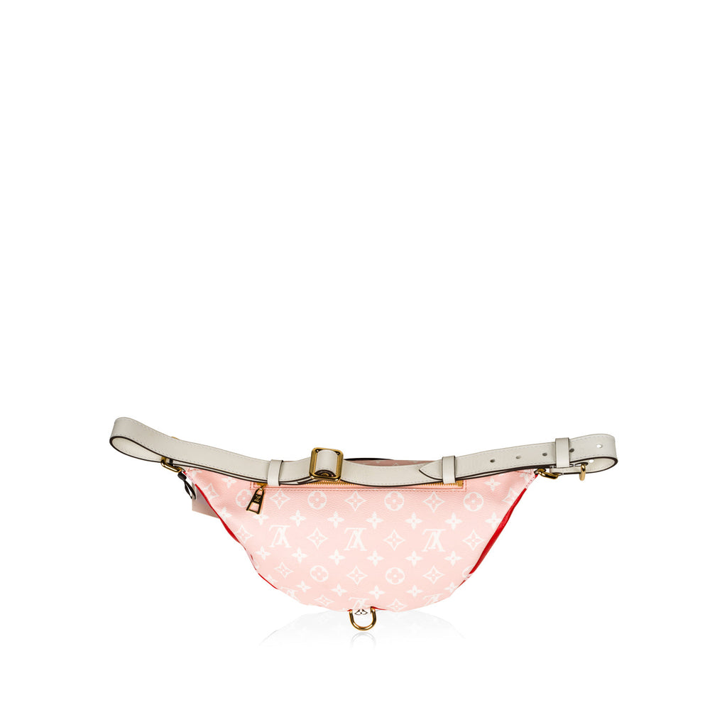 Louis Vuitton Bumbag Extra Large Monogram