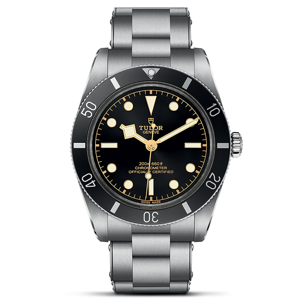 TUDOR Black Bay 54 M79000N-0001