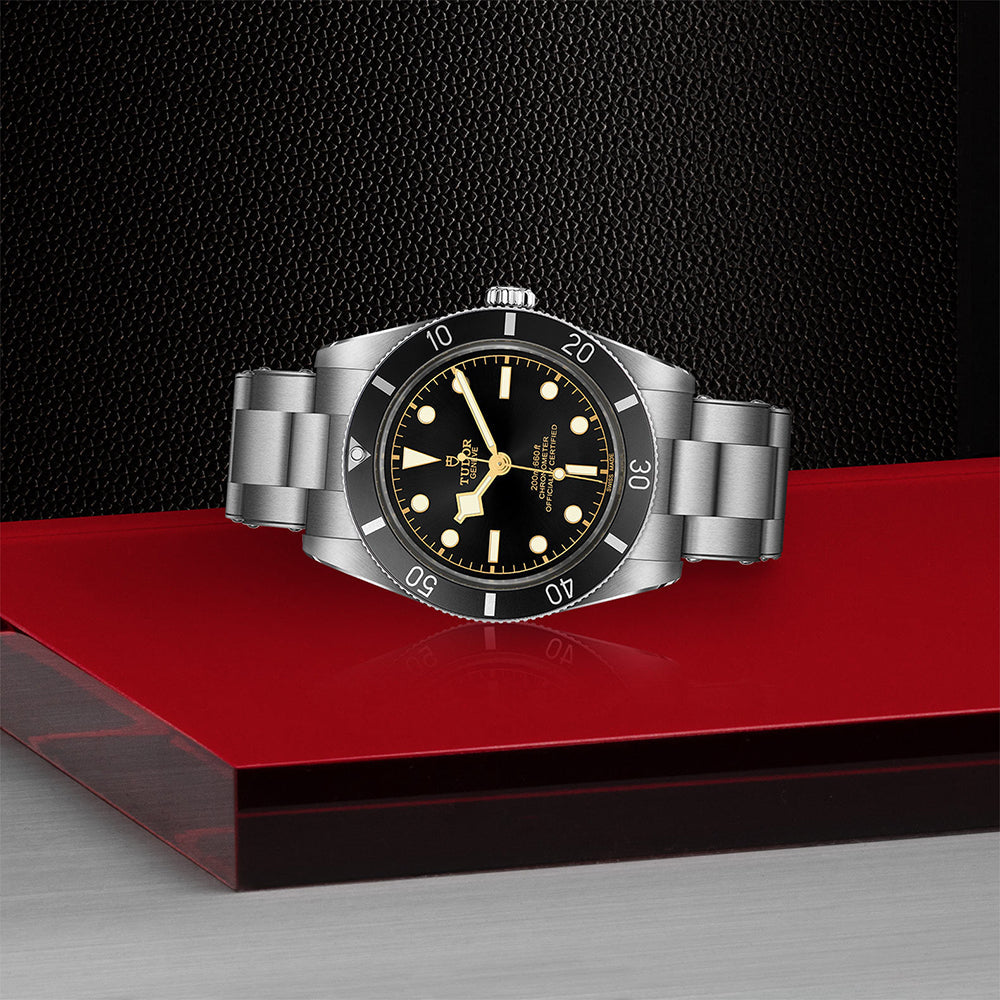 TUDOR Black Bay 54 M79000N-0001