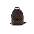 Louis Vuitton Palm Spring PM