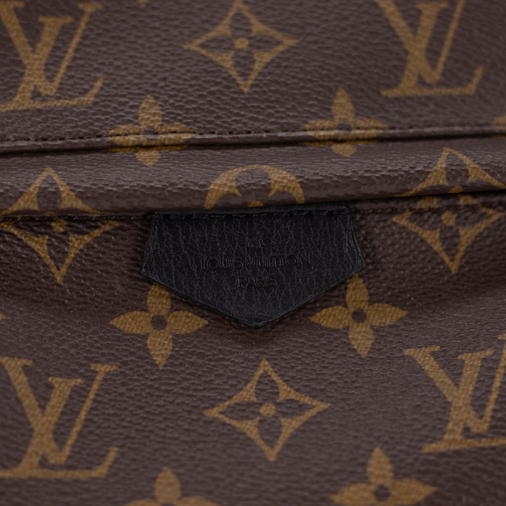 Louis Vuitton Palm Spring PM