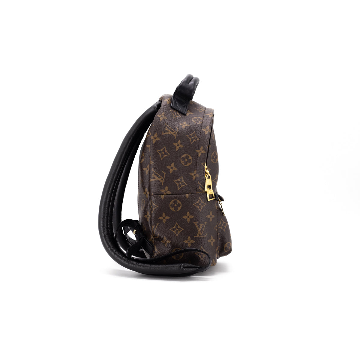 Louis Vuitton Palm Spring PM