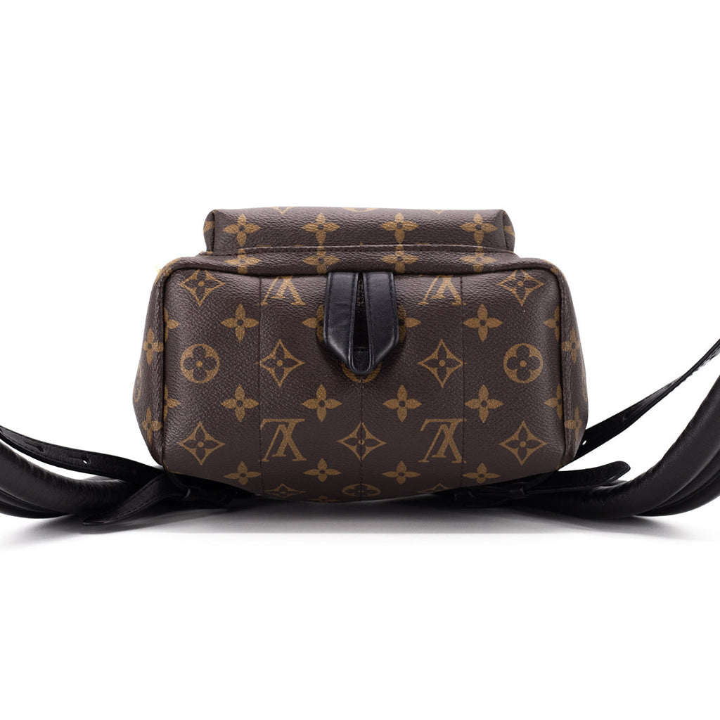 Louis Vuitton Palm Spring PM