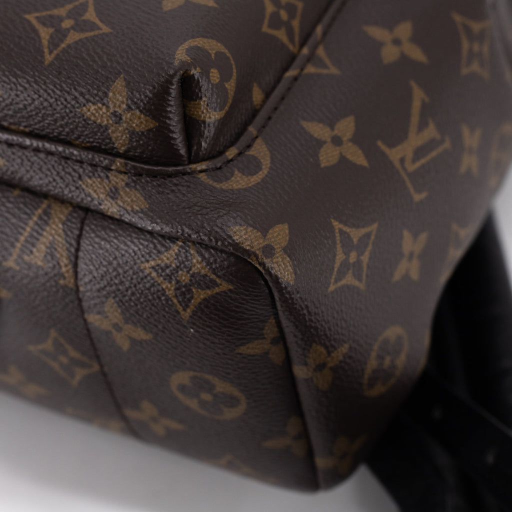 Louis Vuitton Palm Spring PM