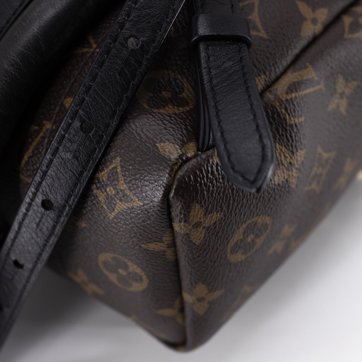 Louis Vuitton Palm Spring PM