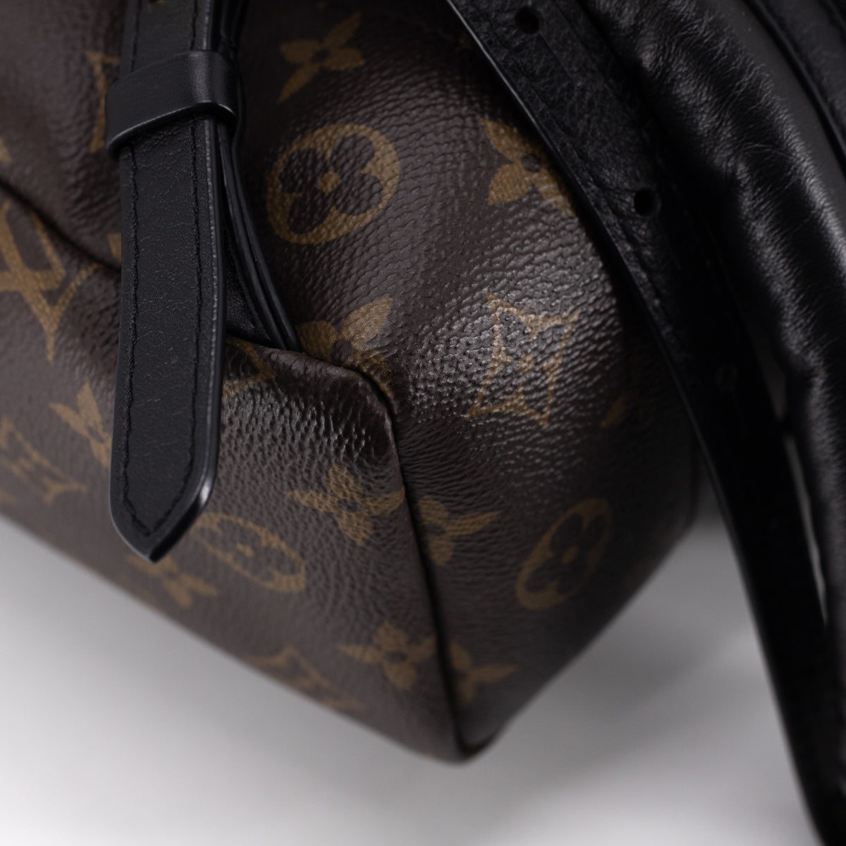Louis Vuitton Palm Spring PM
