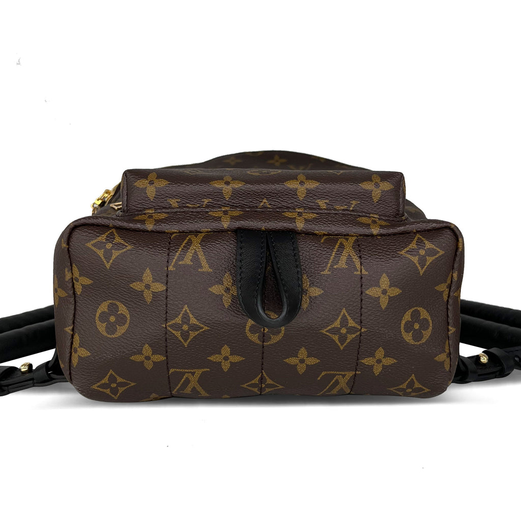 Louis Vuitton Palm Springs PM monogram