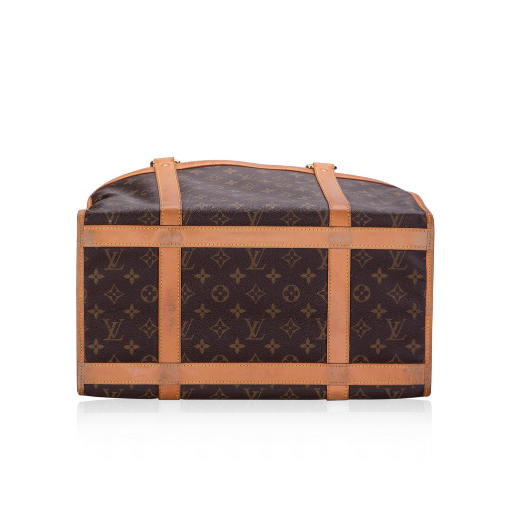 Louis Vuitton Dog Carrier