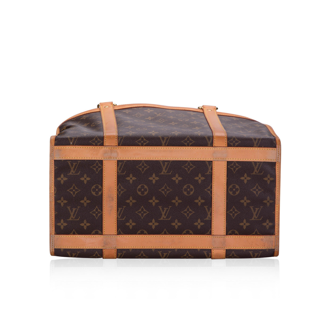 Louis Vuitton Dog Carrier