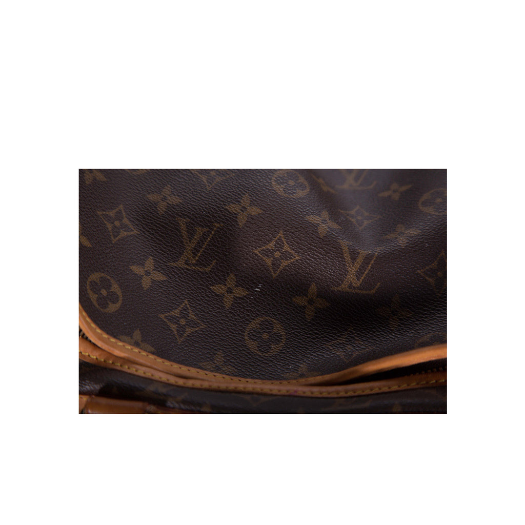 Louis Vuitton Dog Carrier