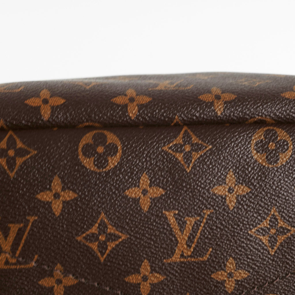 Louis Vuitton Artsy MM Monogram