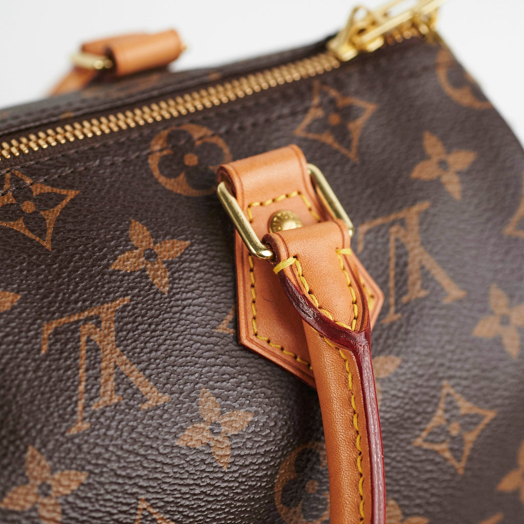 Louis Vuitton Speedy 25 Monogram