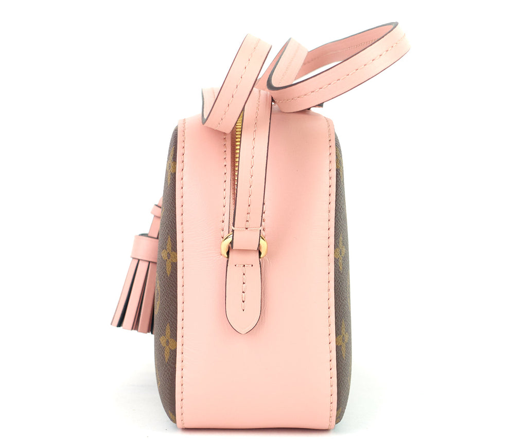 Louis Vuitto Saintonge Monogram Canvas and Calf Leather Bag