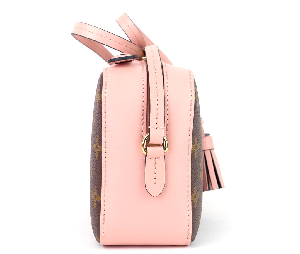 Louis Vuitto Saintonge Monogram Canvas and Calf Leather Bag