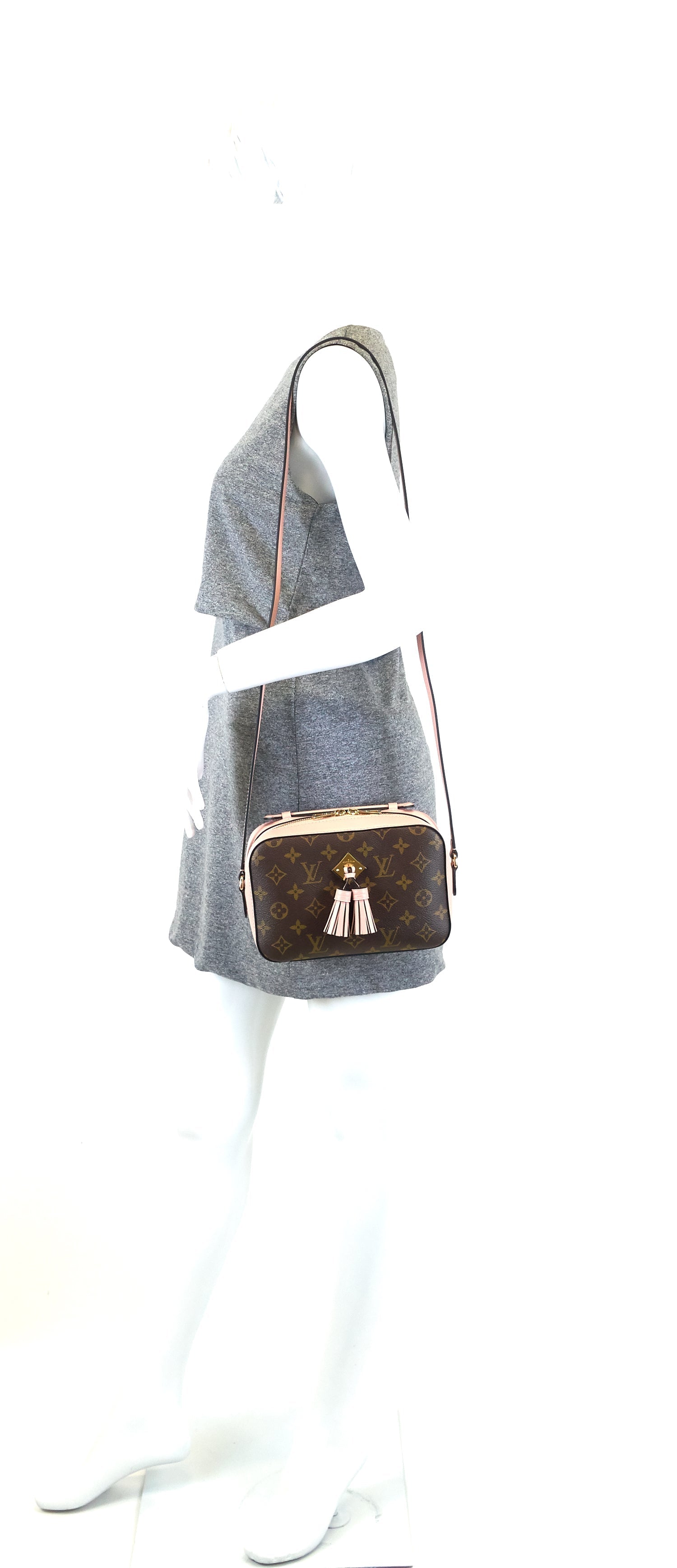 Louis Vuitto Saintonge Monogram Canvas and Calf Leather Bag