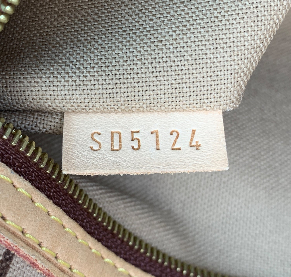 Louis Vuitto Delightful PM Monogram Canvas Bag