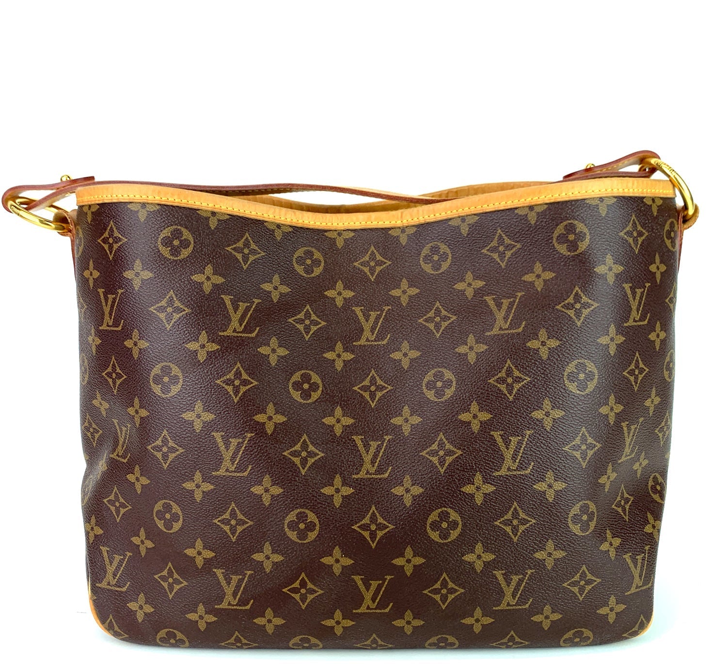 Louis Vuitto Delightful PM Monogram Canvas Bag