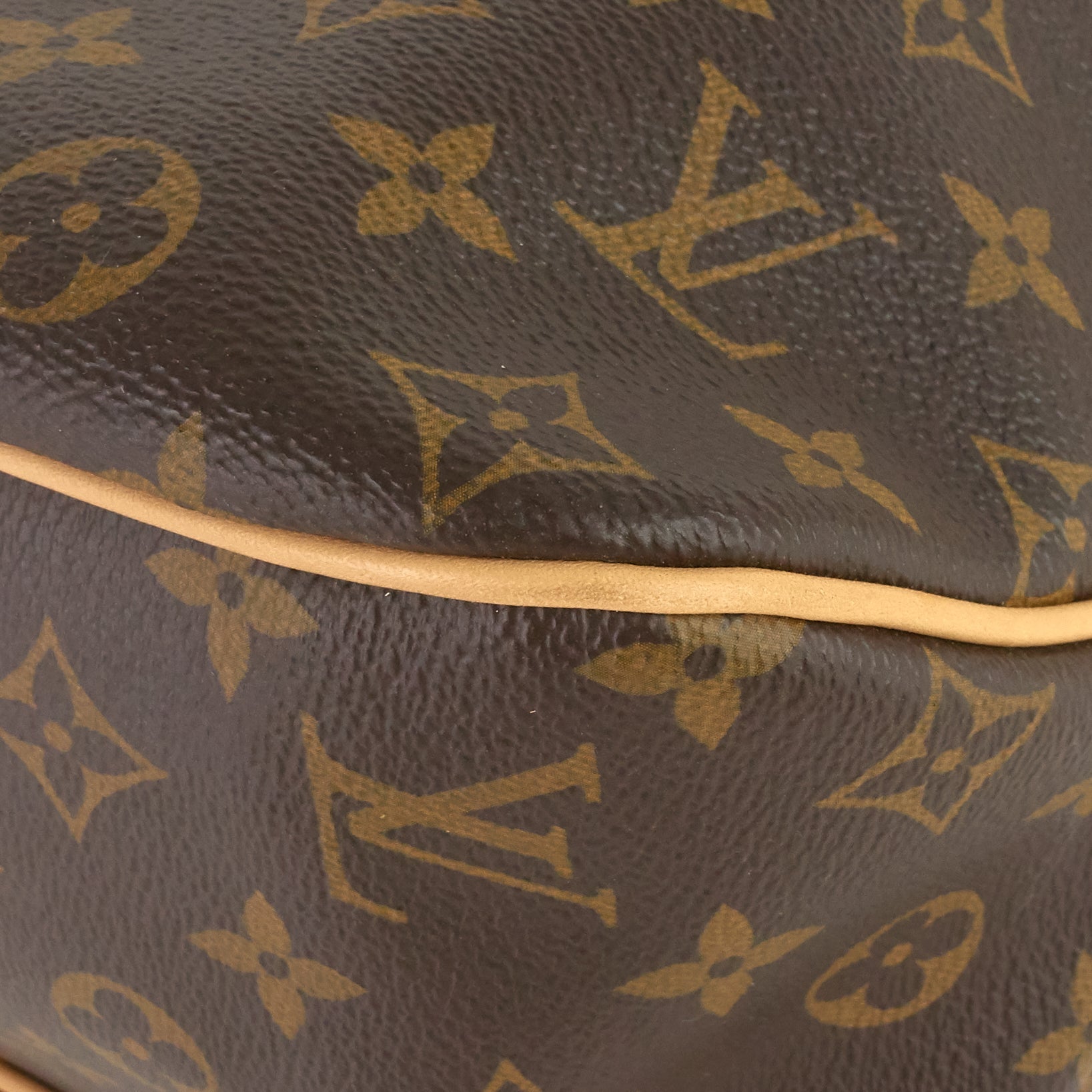 Louis Vuitto Delightful NM MM Monogram Canvas Bag