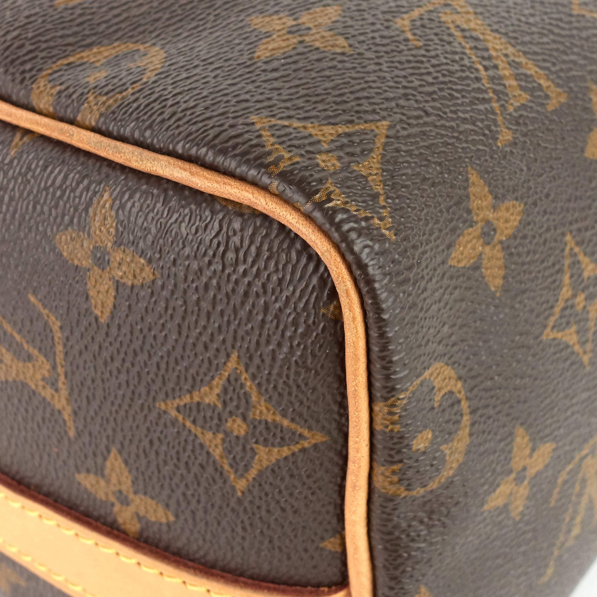 Louis Vuitto Speedy BandouliÃ¨re 25 Monogram Canvas Bag