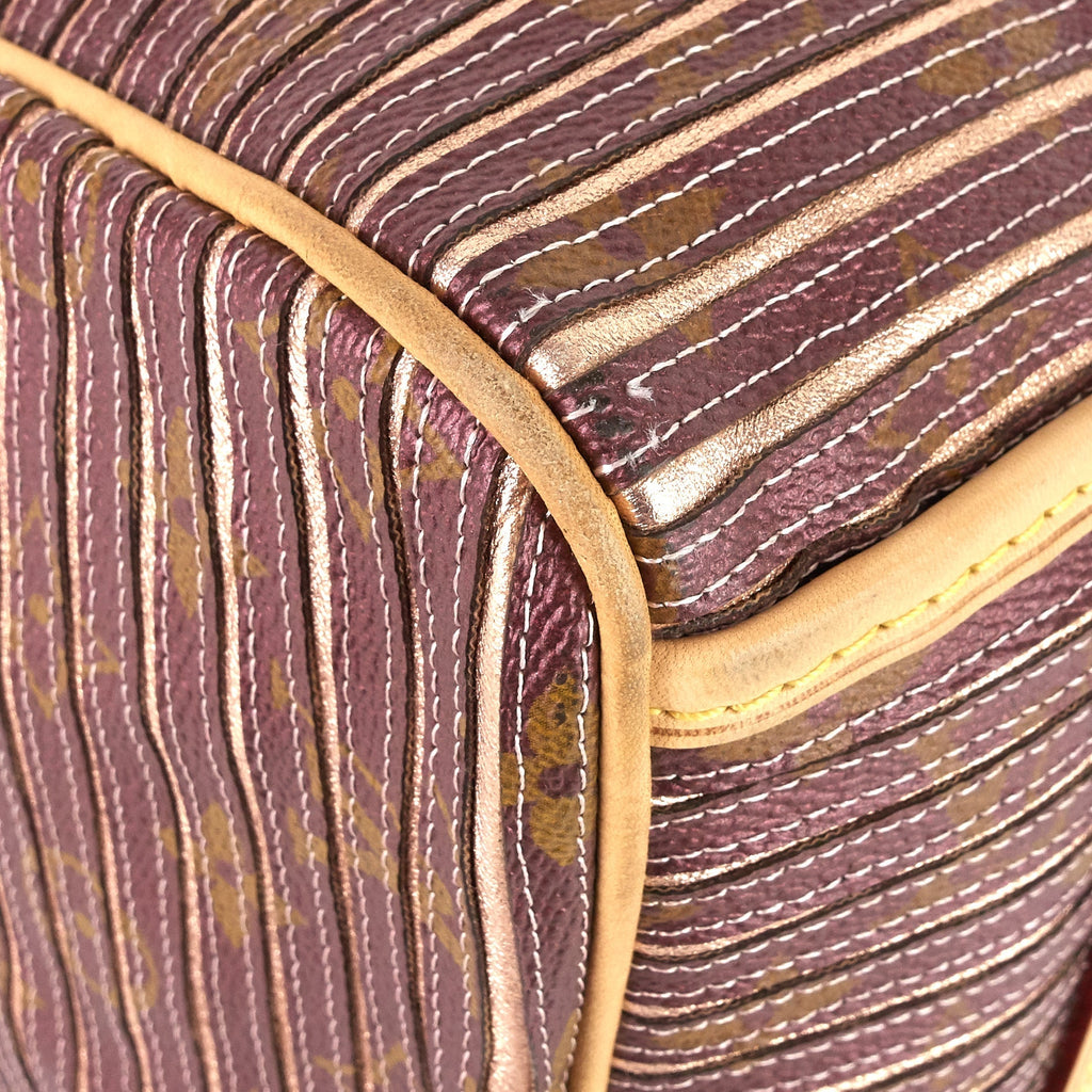 Louis Vuitto Eden Speedy BandouliÃ¨re 30 Canvas Handbag