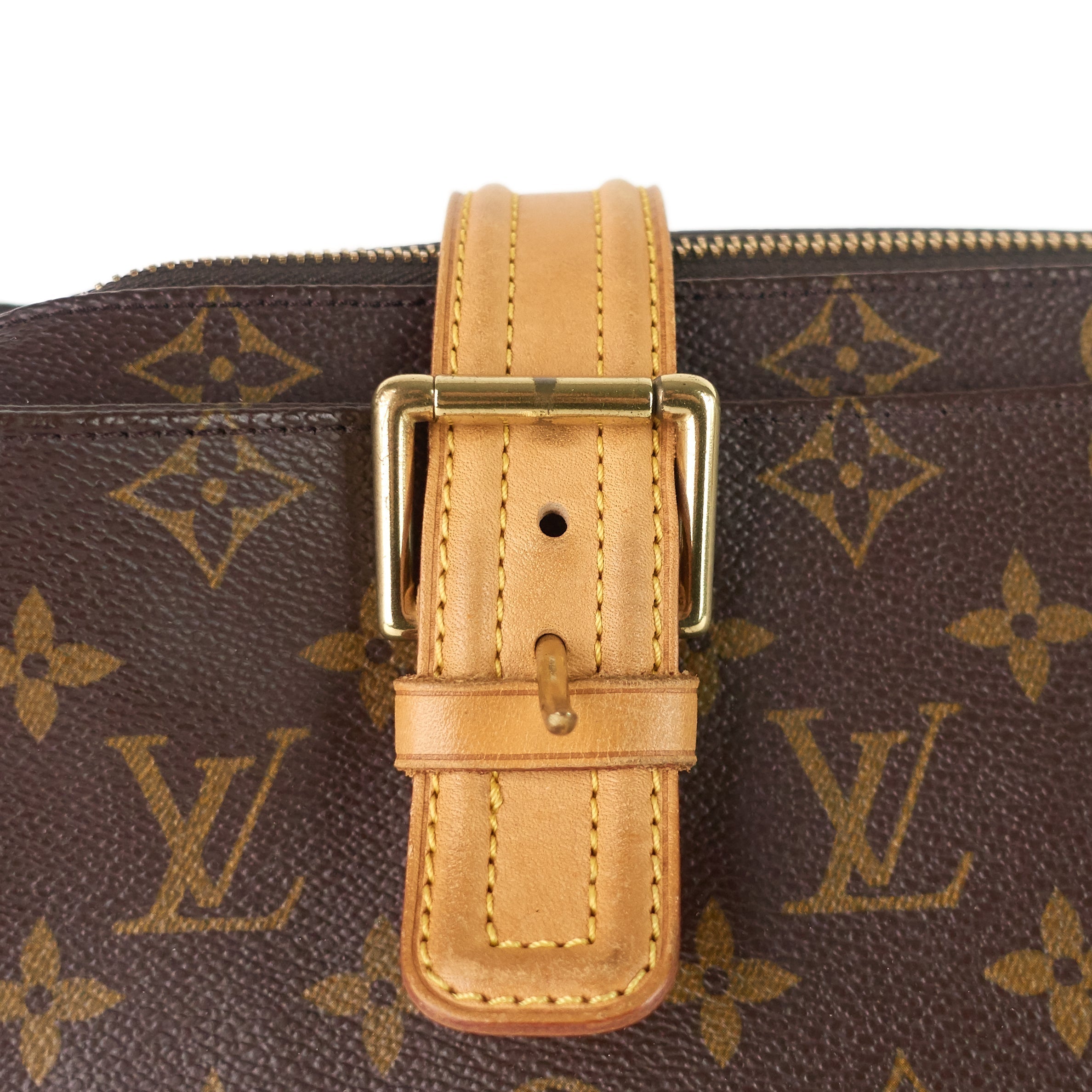 Louis Vuitto Multipli Cite GM Monogram Canvas Bag