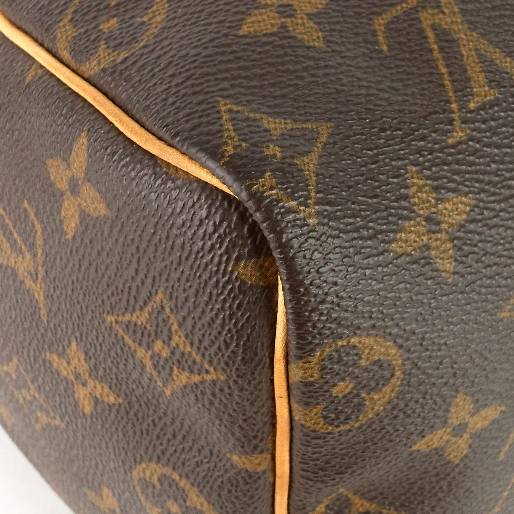 Louis Vuitto Speedy 25 Monogram Canvas Bag