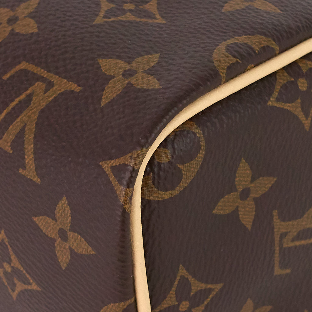 Louis Vuitto Speedy Nano Monogram Canvas Bag