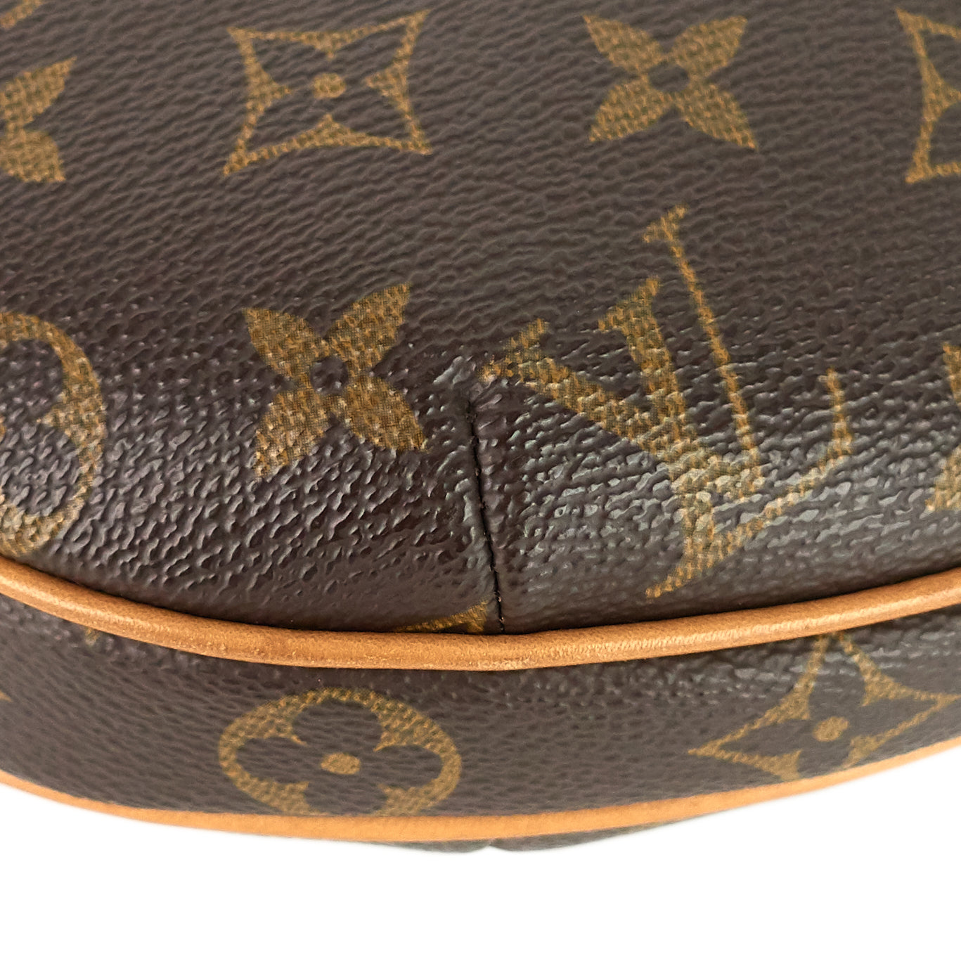 Louis Vuitto Croissant PM Monogram Canvas Bag