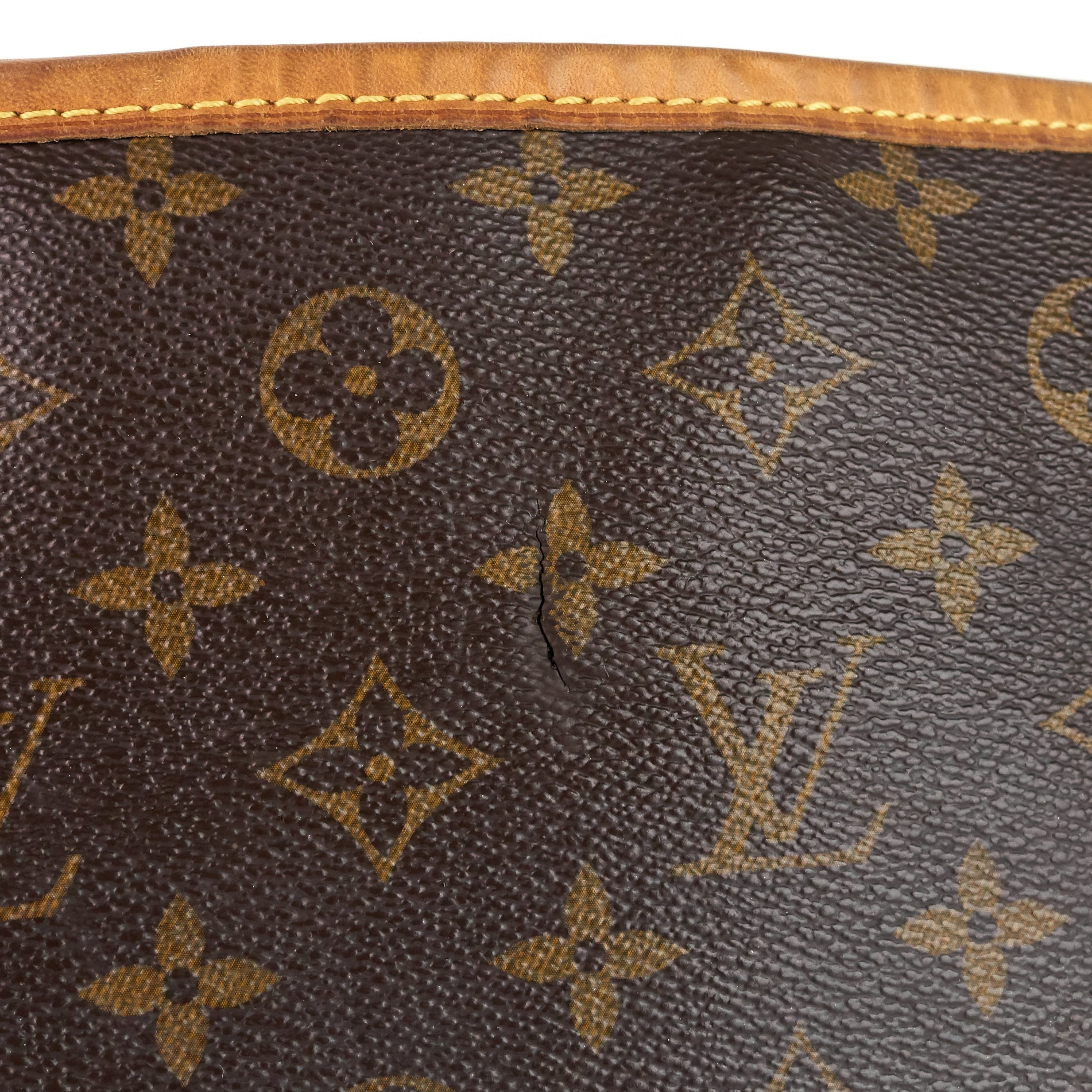 Louis Vuitto Delightful MM Monogram Canvas Bag