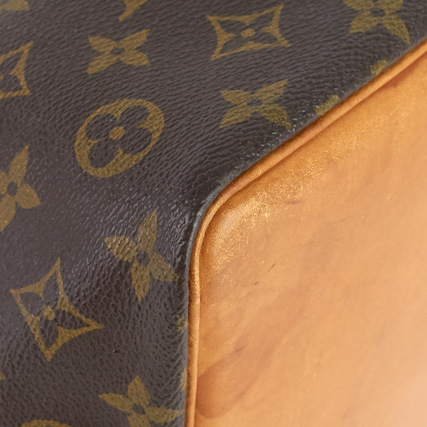 Louis Vuitto Petite NoÃ© Monogram Canvas Bag
