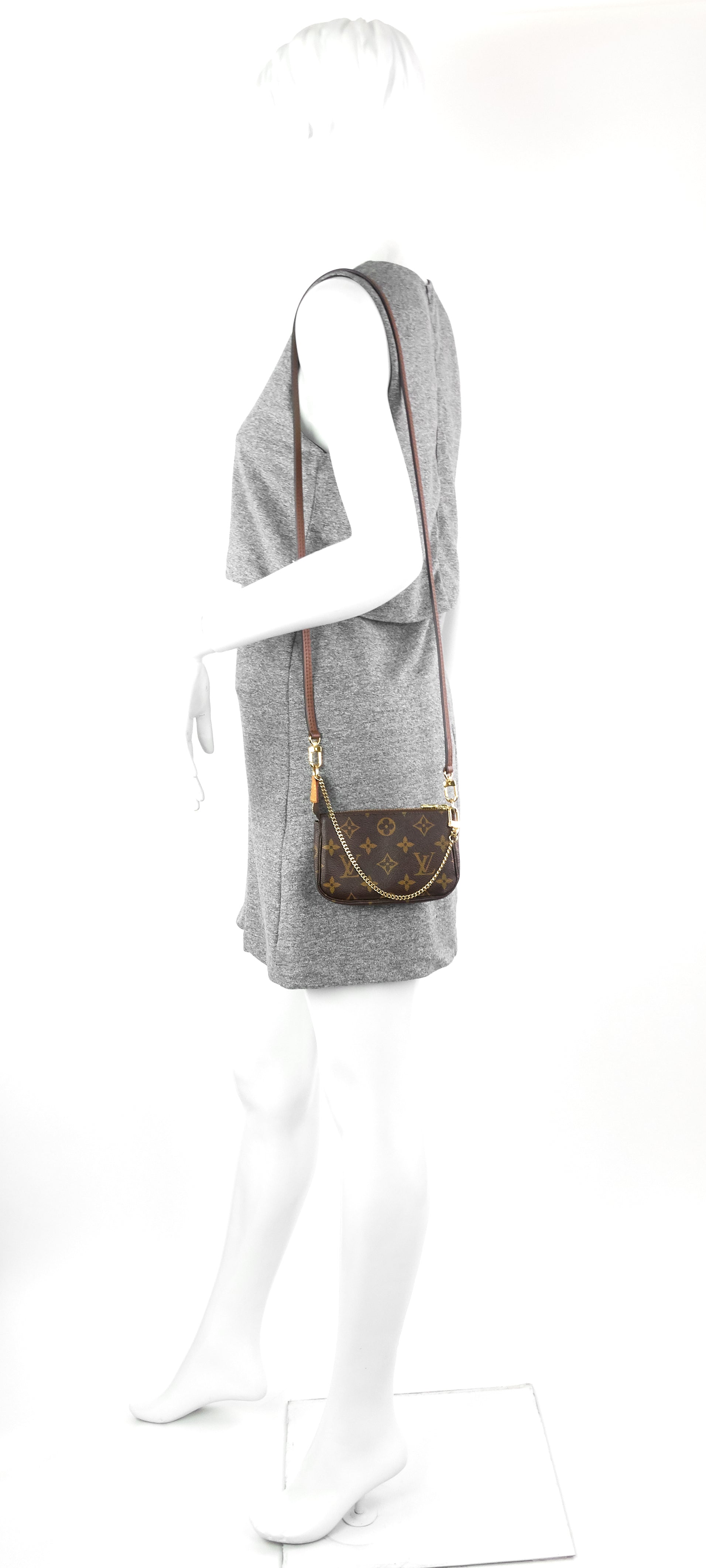 Louis Vuitto Pochette Accessoires Mini Monogram Canvas Bag