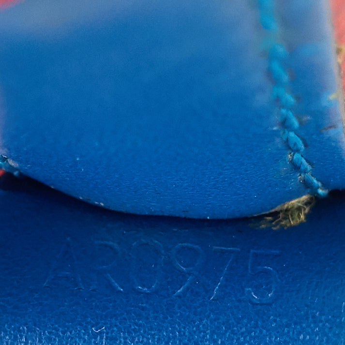Louis Vuitto NoÃ© Large Multicolor Epi Leather Bag