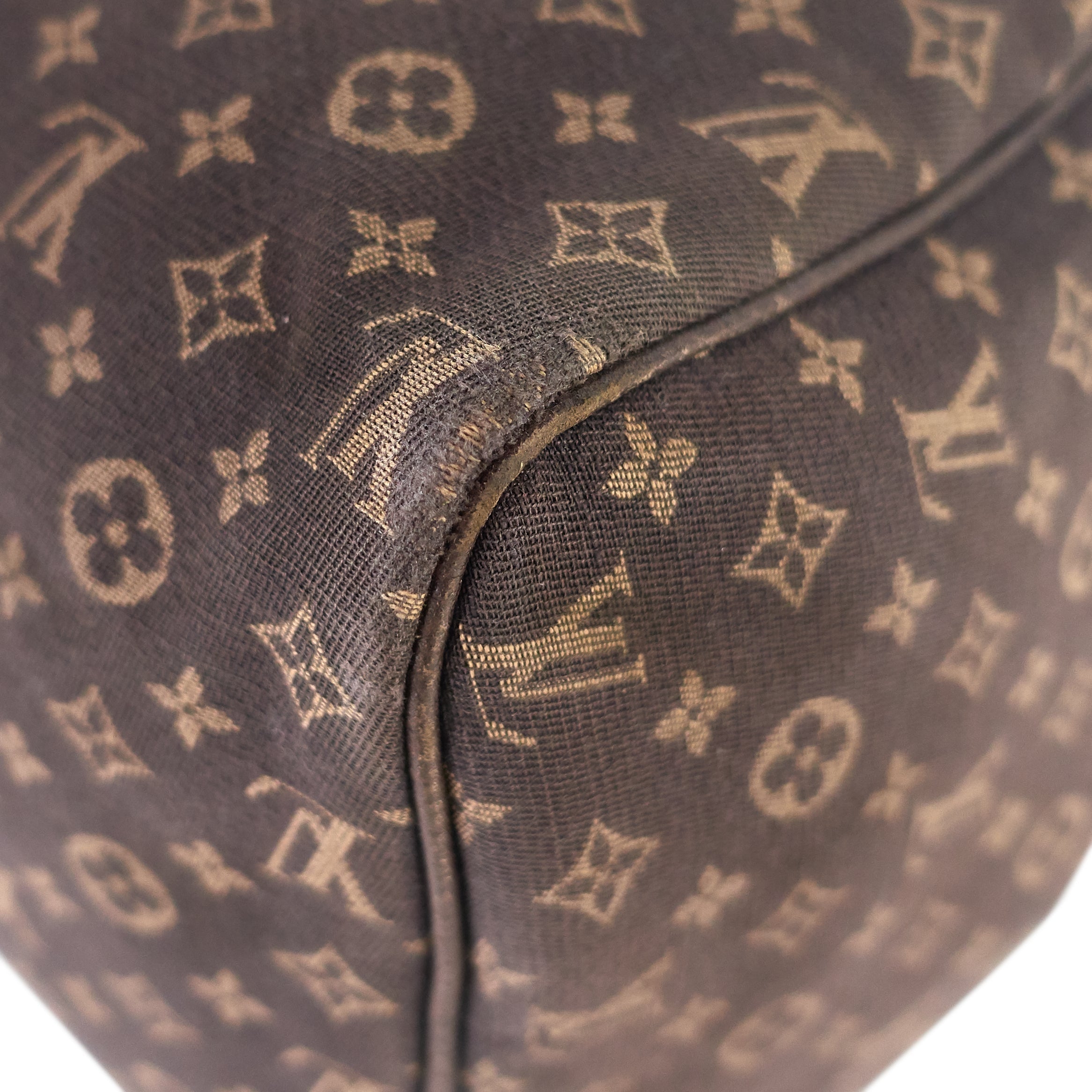 Louis Vuitto Speedy 30 Monogram Idylle Canvas Bag