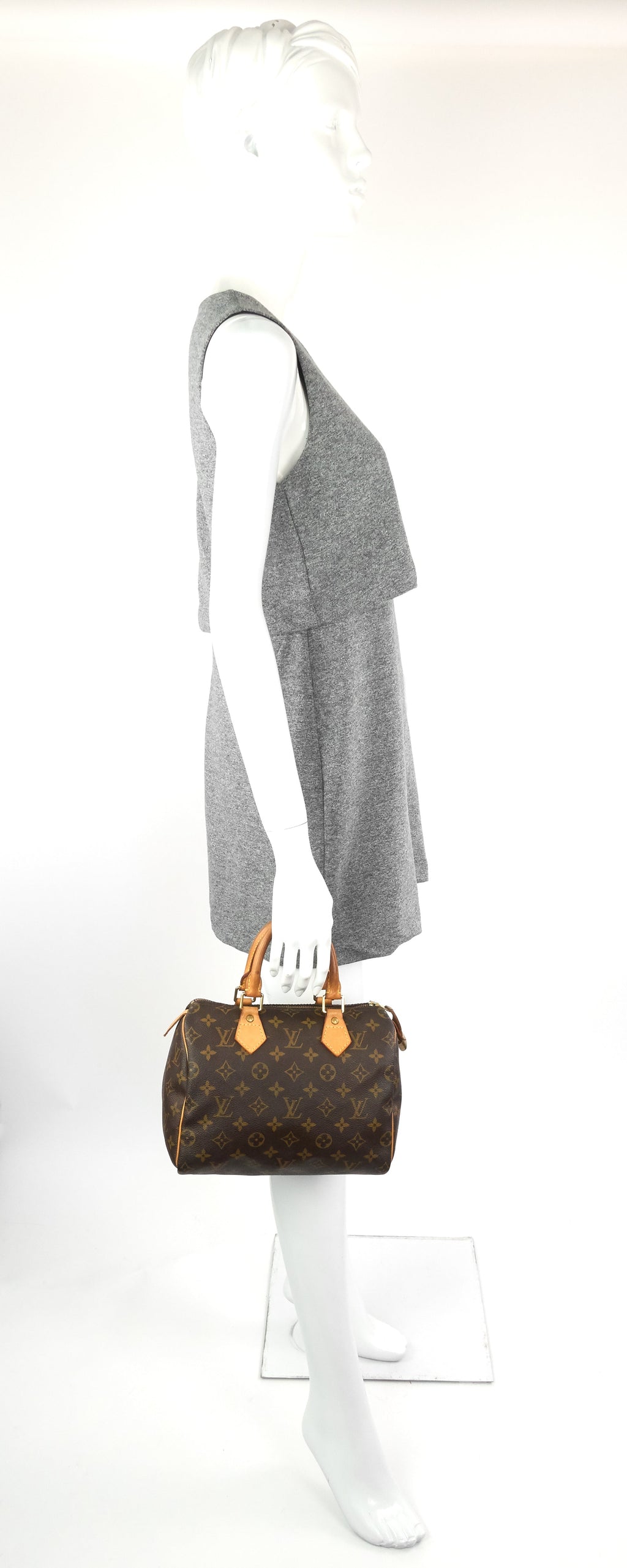 Louis Vuitto Speedy 25 Monogram Canvas Bag