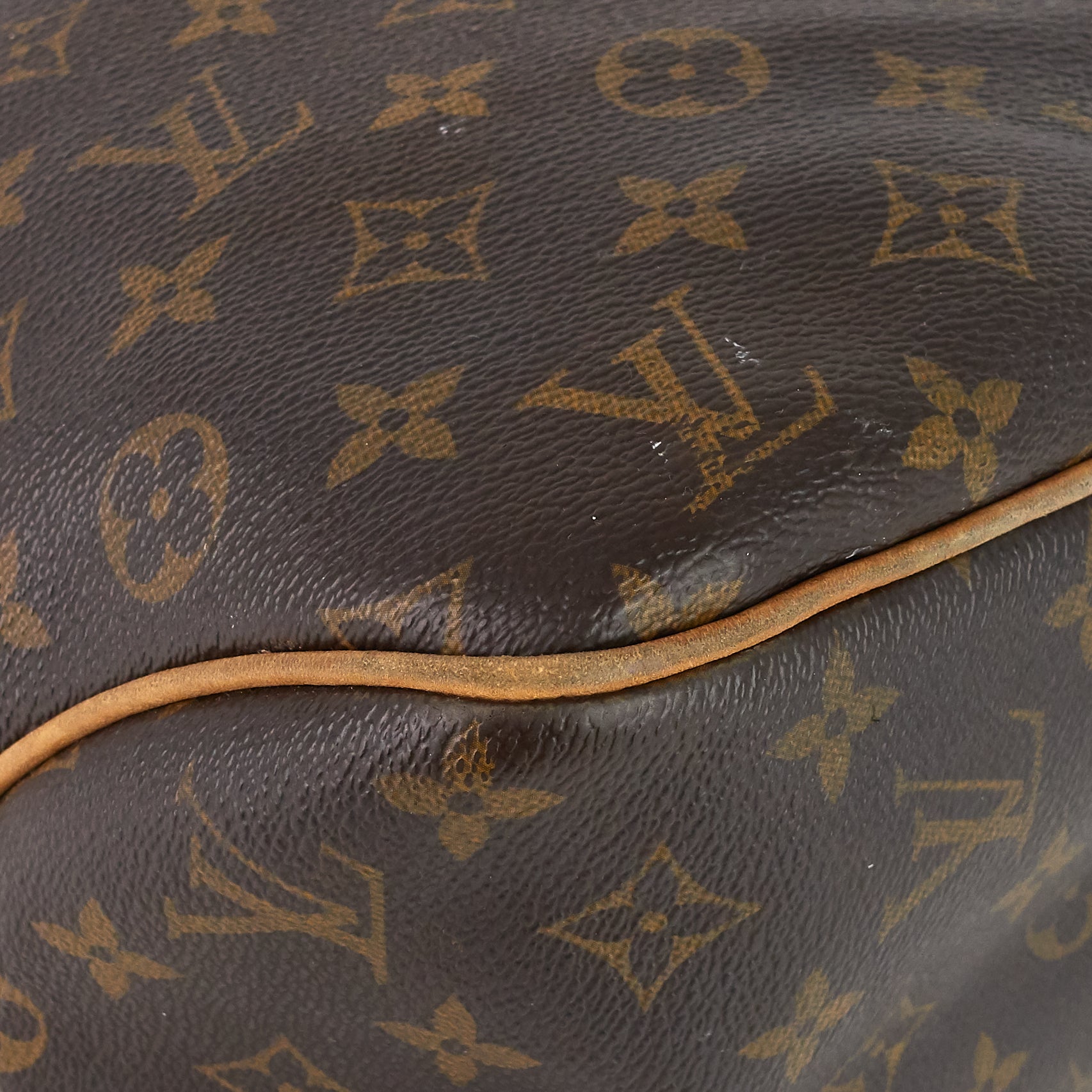 Louis Vuitto Delightful MM Monogram Canvas Bag