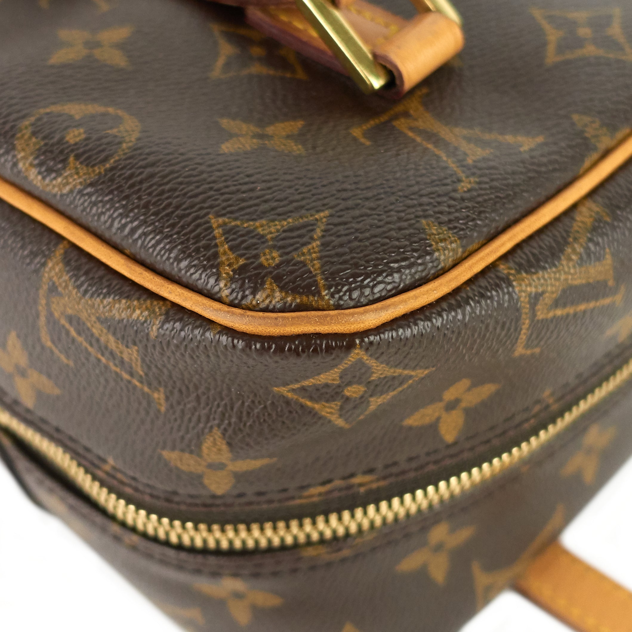 Louis Vuitto Cite MM Monogram Canvas Bag