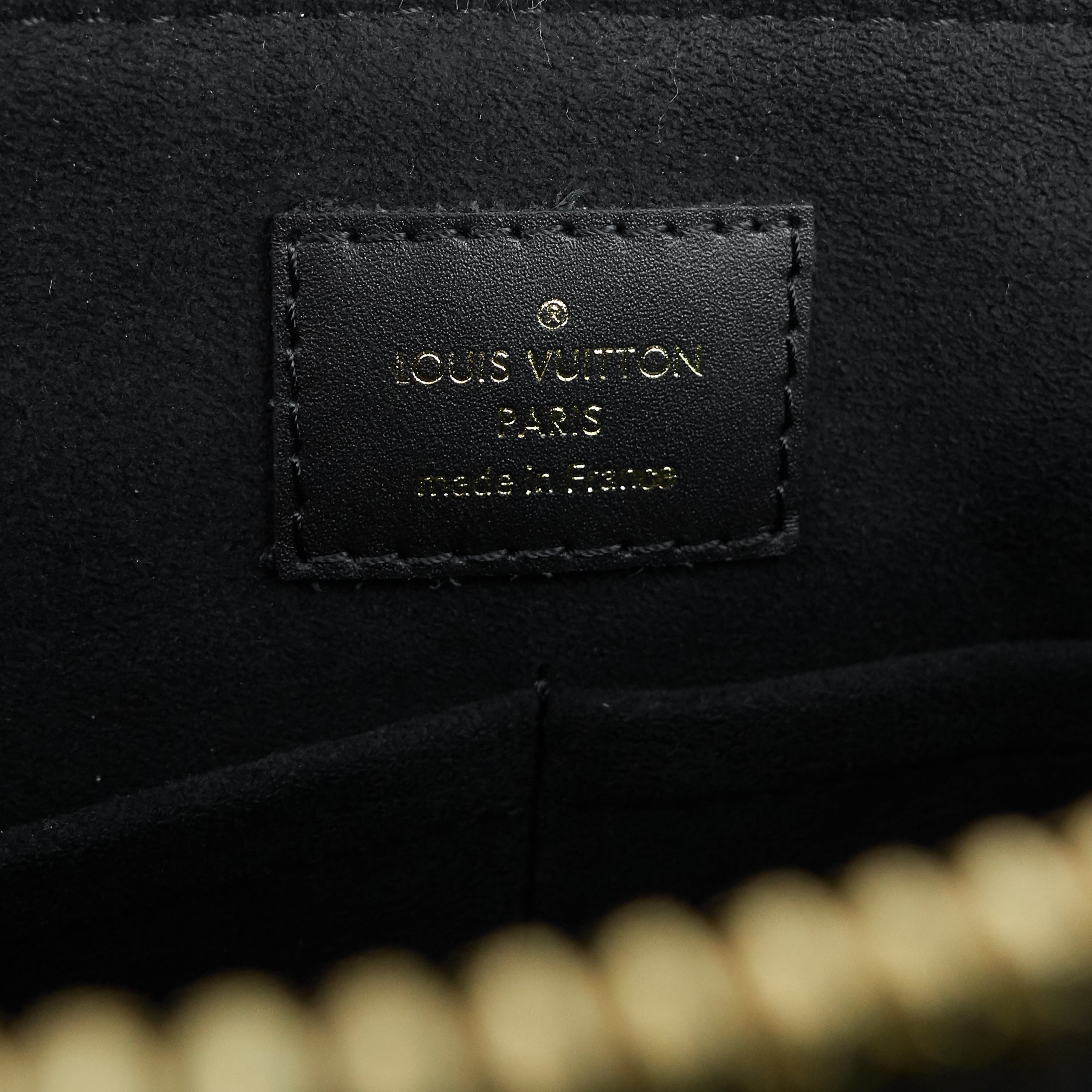 Louis Vuitto Soufflot MM Monogram Canvas and Coloured Leather Bag