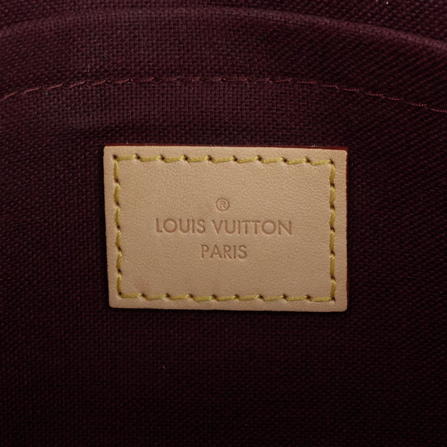 Louis Vuitto Favorite PM Monogram Canvas Bag