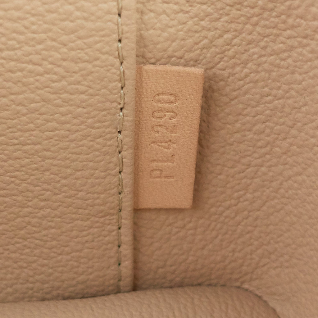Louis Vuitto Nice Nano Vanity Monogram Canvas Case