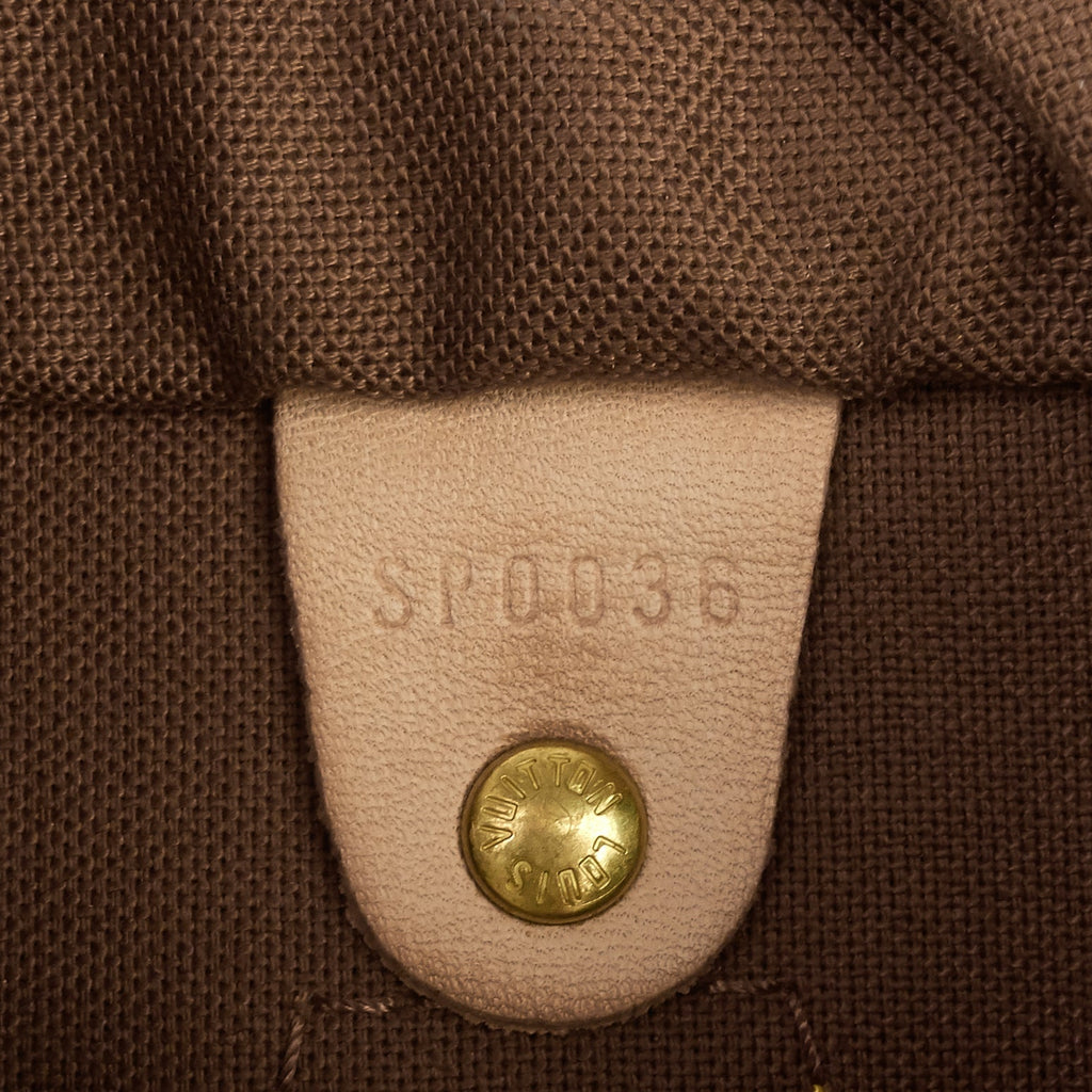 Louis Vuitto Speedy 25 Monogram Canvas Bag