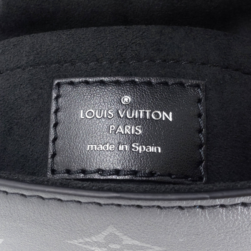 Louis Vuitto Monogram Calfskin Camera Box Bag