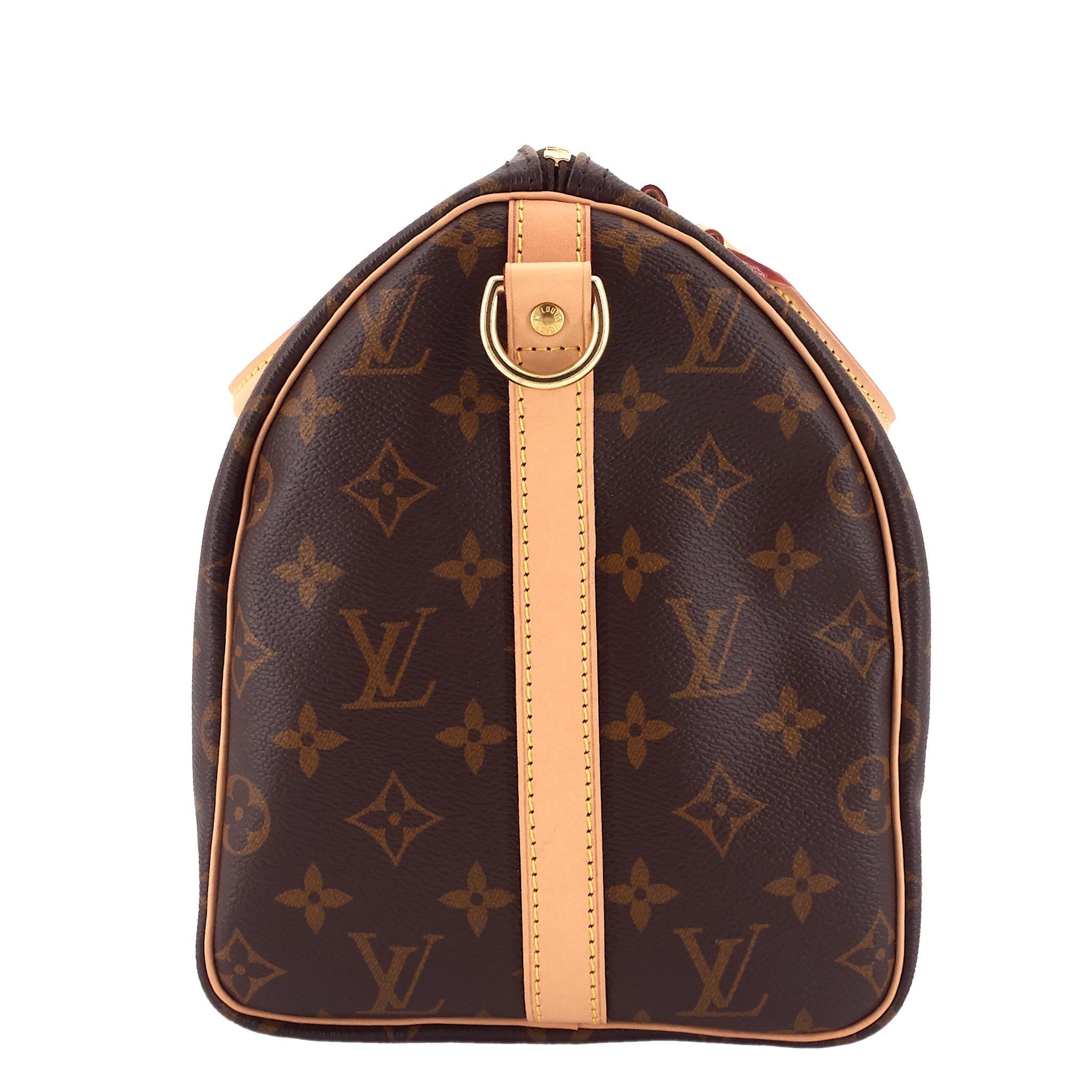 Louis Vuitto Speedy BandouliÃ¨re 30 Monogram Canvas Bag
