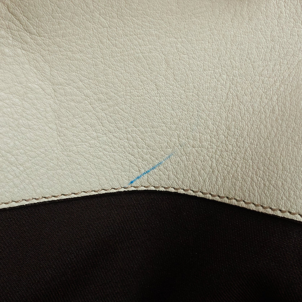 Gucci Charlotte GG Canvas Hobo Bag