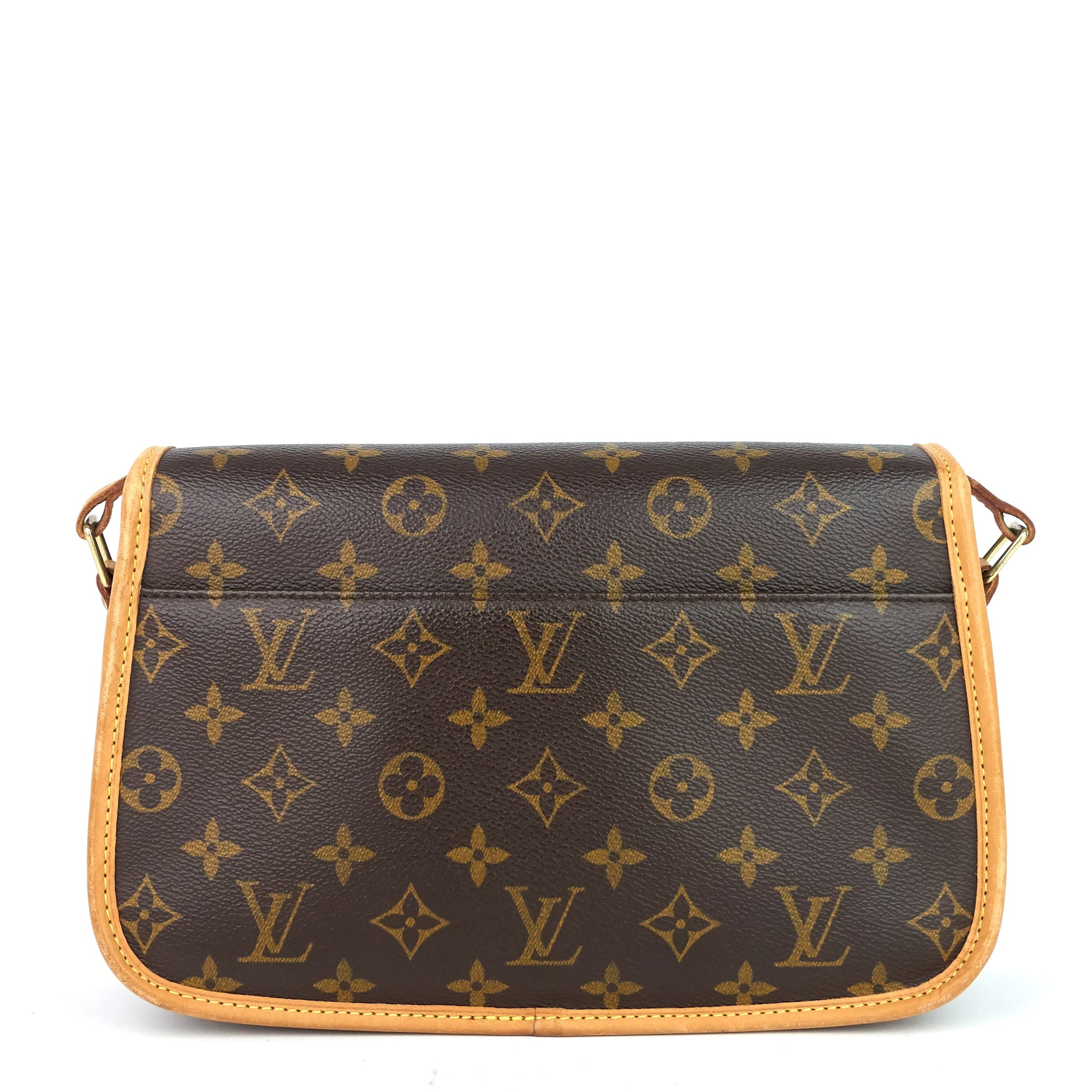 Louis Vuitto Sologne Monogram Canvas Bag