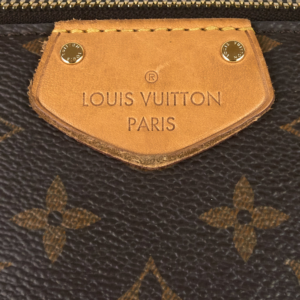 Louis Vuitto Turenne GM Monogram Canvas Bag