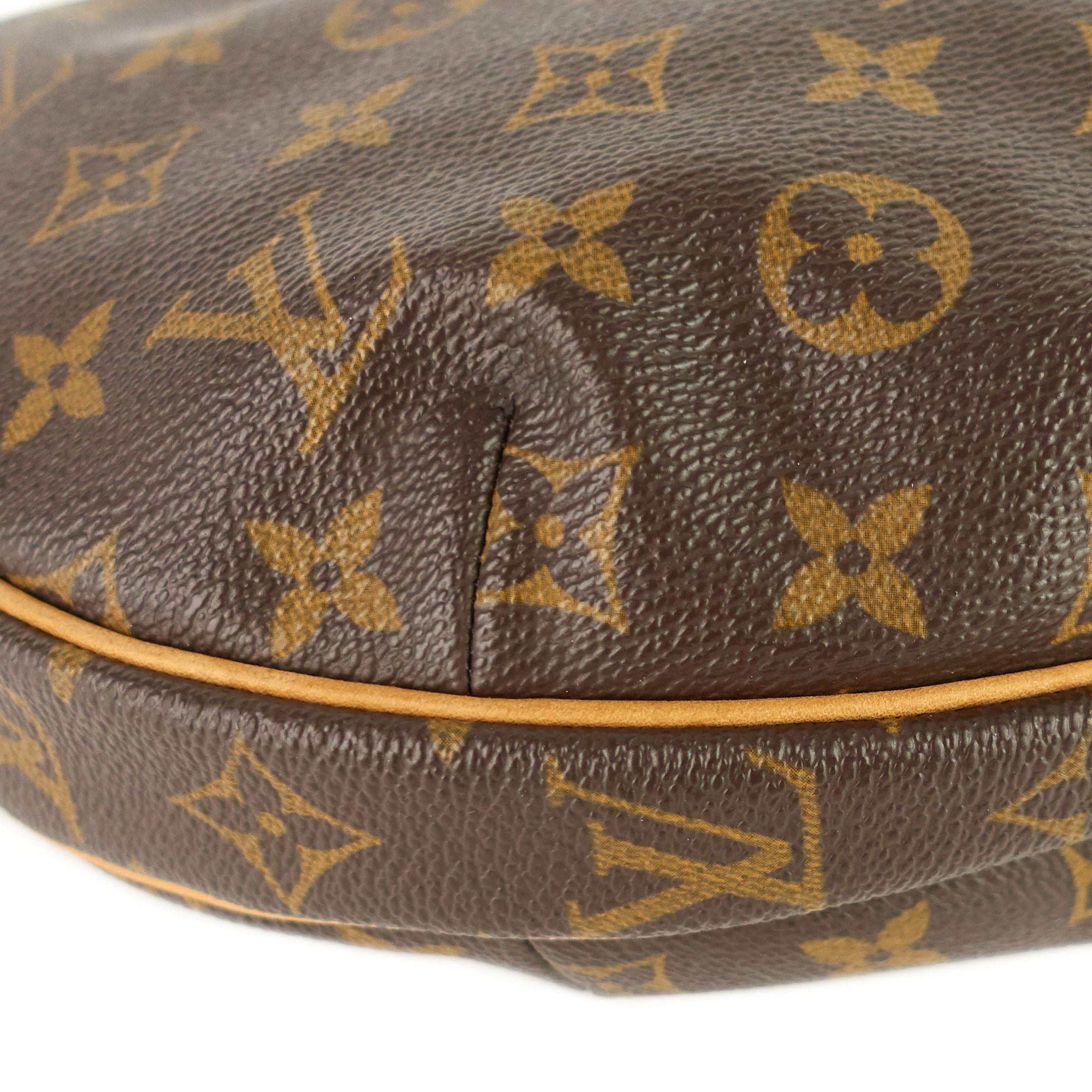 Louis Vuitto Croissant MM Monogram Canvas Bag