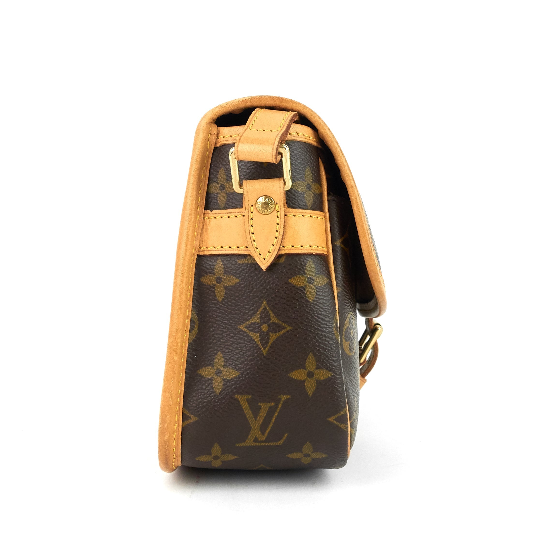 Louis Vuitto Sologne Monogram Canvas Bag